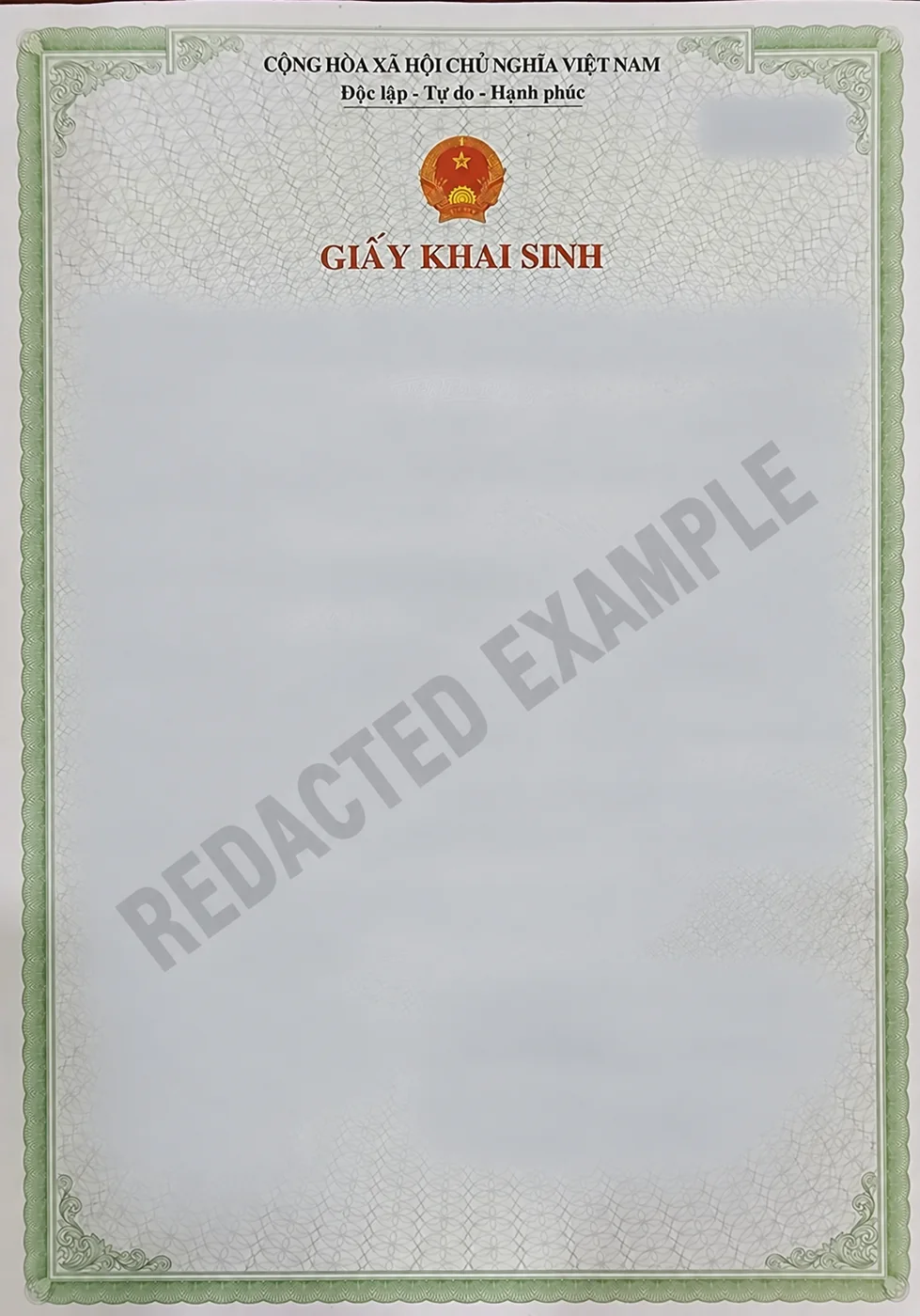 Redacted illustrative Vietnamese birth certificate